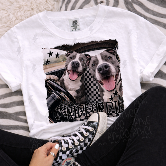 ride or die pitbull | PNG