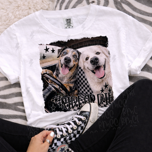 ride or die catahoula + pyrenees | PNG
