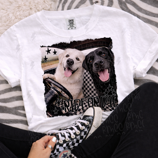 ride or die pyrenees + black lab | PNG