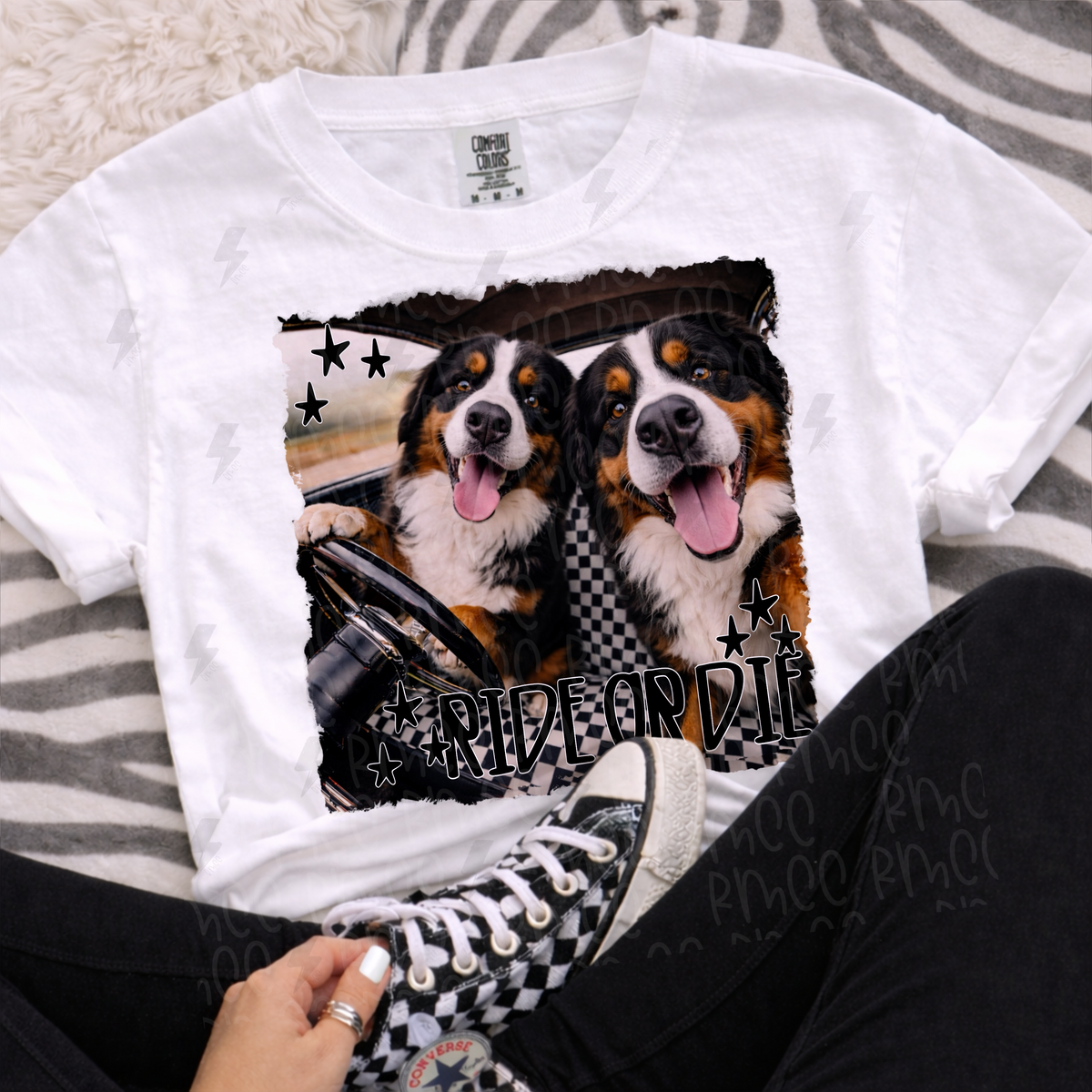 ride or die bernese mountain dog | PNG