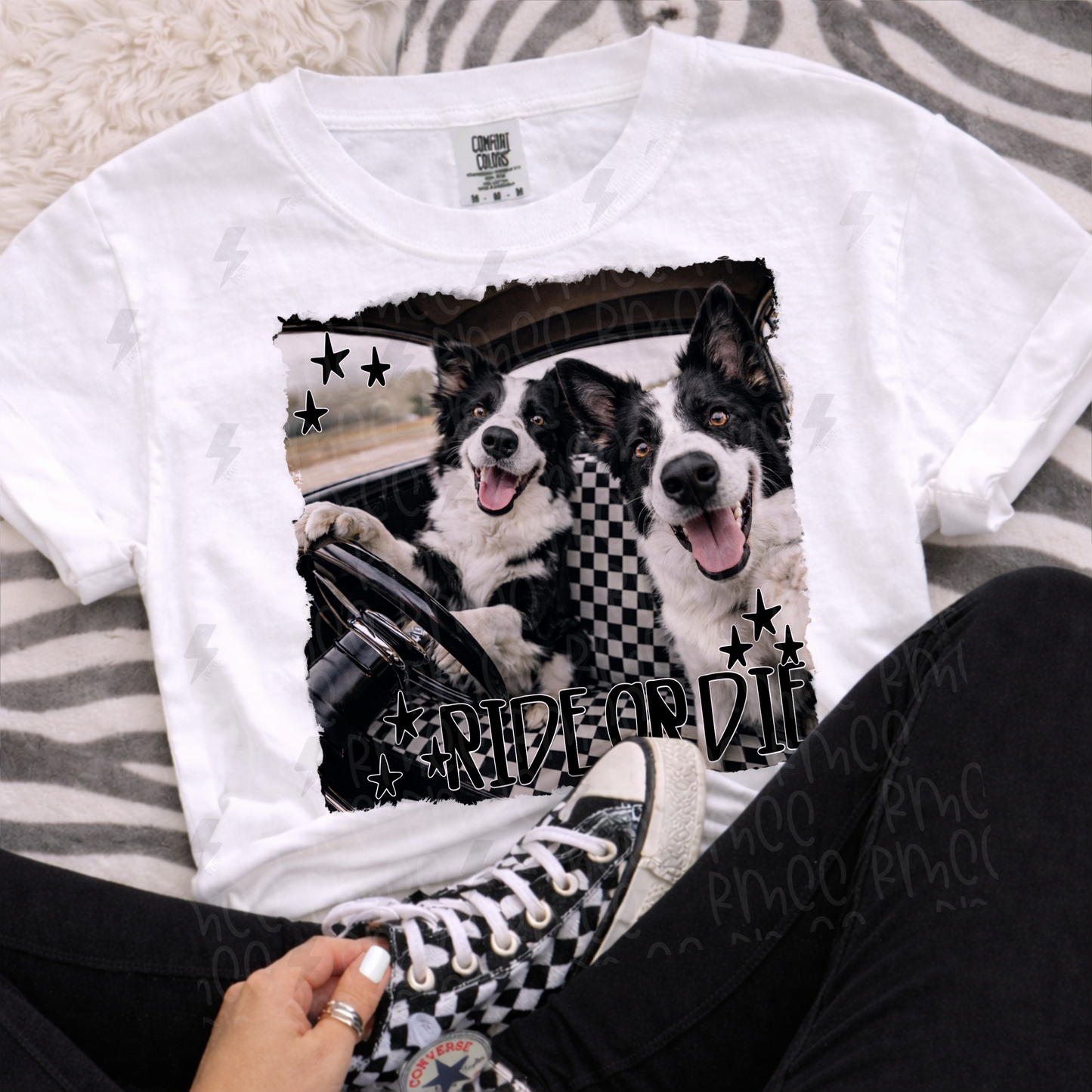 ride or die collie | PNG